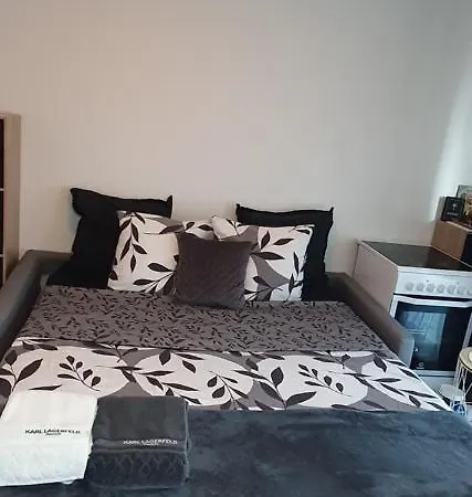 Apartment Lovely 1 Bedroom Vacation With Free Parking.