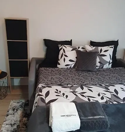 Lovely 1 Bedroom Vacation With Free Parking. Apartment Nice