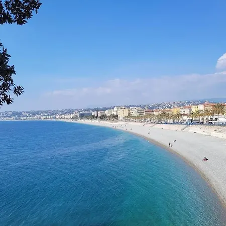 & Les Cypres * Nice
