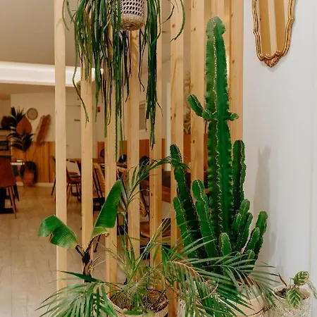 Отель Palm Boutique
