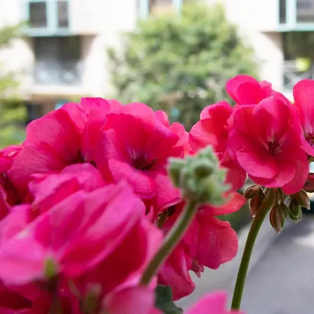 Appartamento Boutique Center Free Parking Nizza