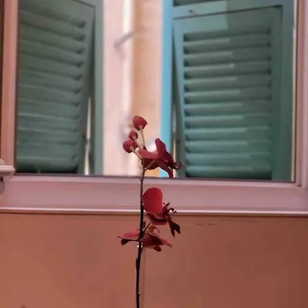 Apartment Vieux Vibrant