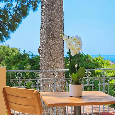 Petit Palais Hotel 4*