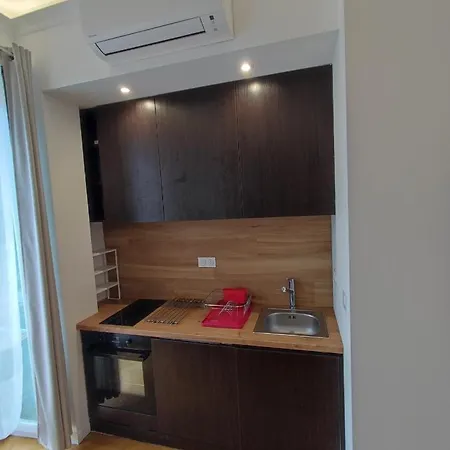 Boutique 1 公寓 尼斯