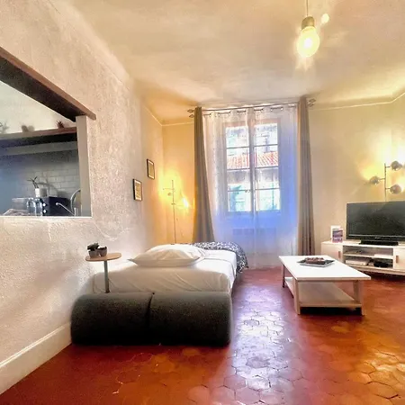 Aa Ot Maison Du Moulin - Old Town - Promenade Des Nizza