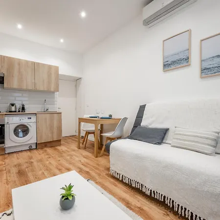 Appartement Pertinax Cosy 2 Pieces Au Coeur Du Centre De Ac