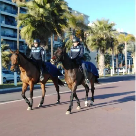 Daire Magnifique Centre-ville Nice