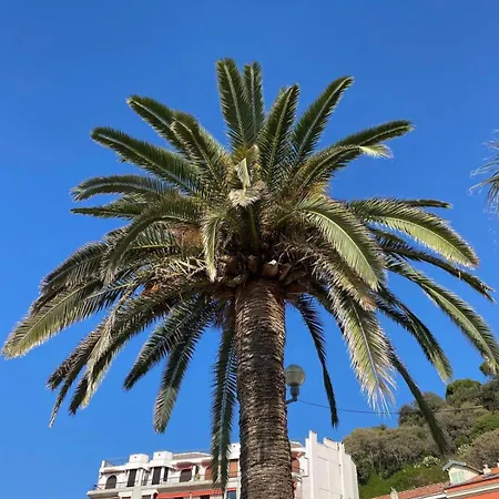 Le Riviera Collection, Signature Collection By Best Western Nice