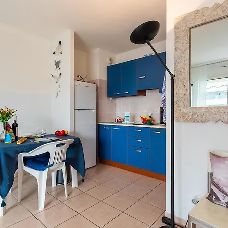 Palais Des Arts Ap4399 By Riviera Homes