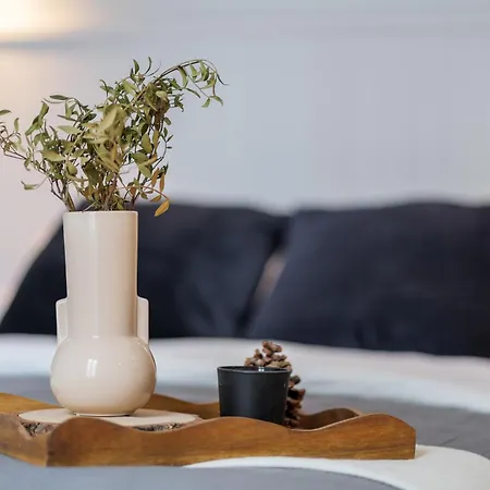 Modern One Bedroom Close To Promenade Des Anglais Apartment *