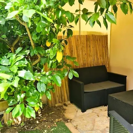 Avec Terrasse Et Piscine Nice