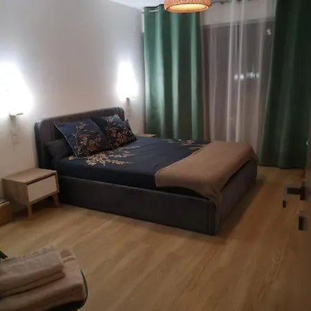 Apartment Chez L'hadriana, 2x Ac Clim Wi-fi,newly Renovated Nice