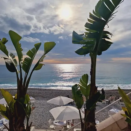 Syrah - Cozy * Nizza