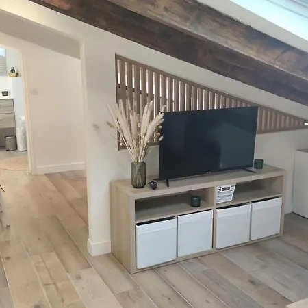 Apartamento Gubernatis Centre *