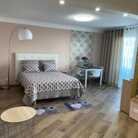 Super Avec Piscine A 60 M De La Appartement Nice