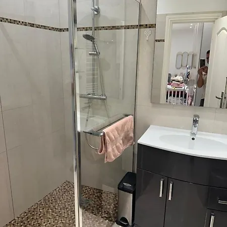 Cosmina Apartment Nice