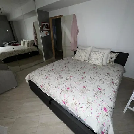 Cosmina Apartment