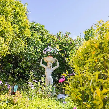 La Casetta Dei Fiori Vi3078 Villa