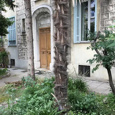 Apartament Mimosas *