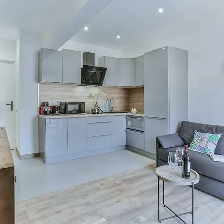 Massena Cours - Terrasse - Zone Pietonne Appartement *